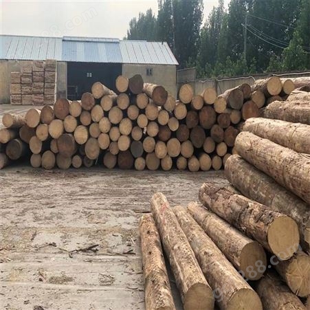 禄森优质进口建筑木方规格进口建筑木方报价建筑木方