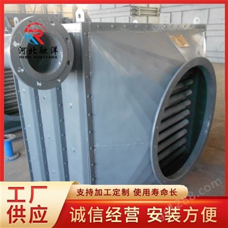 融洋锅炉用高频焊接省煤器型号 耐腐蚀省煤器加工定制