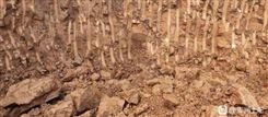 肥料用钙级膨润土
