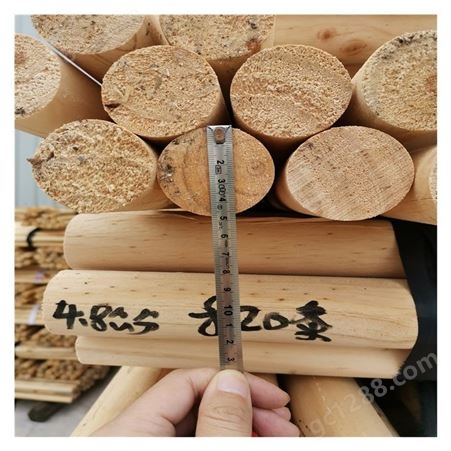 供应40mm松木芯 松木杆 松木芯价格 木棒 支撑杆厂家批发