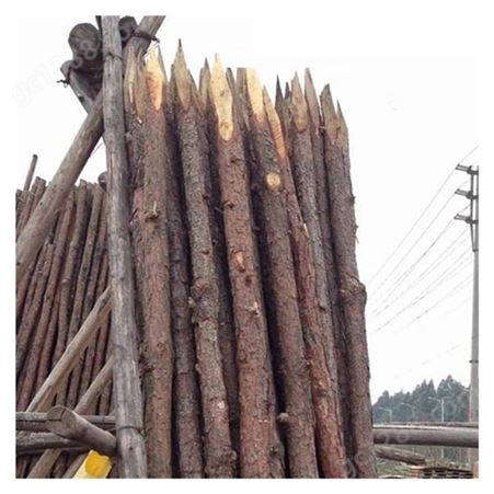 原木 木材批发 河堤木桩 河道修固打桩木 桩基松木桩出售