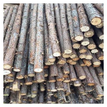 软地基2米打桩木批发  河道松木桩批发 木桩供应