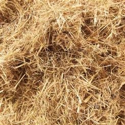 边坡草纤维 嵩杰草纤维 草纤维减少土壤流失 大量现货