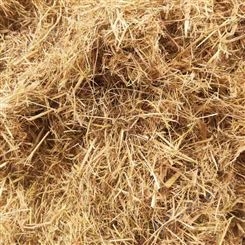 山体护坡草纤维 嵩杰草纤维 降低种子损失草纤维 草纤维