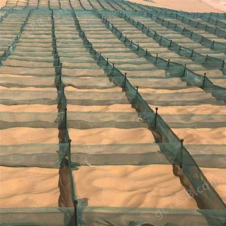 pe防沙网，沙漠防沙网，塑料方格沙障，尼龙防风固沙网，塑料固定桩