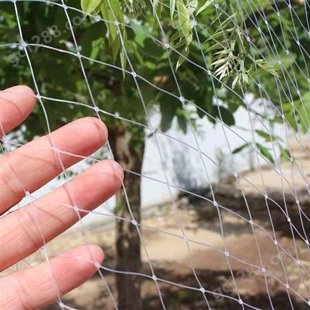 航瑞加工厂定制 蔬菜大棚防虫网 哈密瓜种植 果园防鸟网