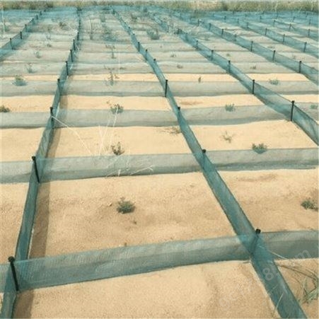 沙漠防风造林沙障工程 尼龙防沙网阻沙网 支持定制 航瑞工厂现货