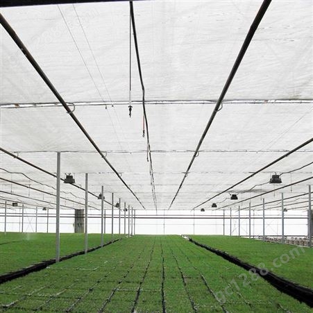 伟彩 农用盖土遮光网 蔬菜大棚遮阳网生产商