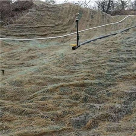 边坡绿化铁丝网 客土喷播植草网喷浆挂网 活络网 恩元