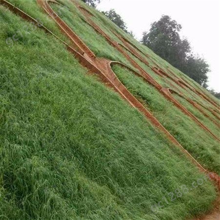 客土喷播植草施工方法 边坡复绿 矿山复绿 山体排险专业施工技术