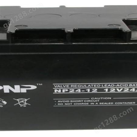 PNP蓄电池NP12-38/12V38AH电池价格