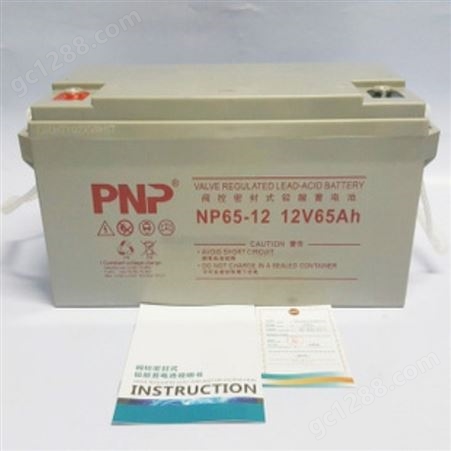PNP蓄电池NP12-17/12V17AH船舶照明