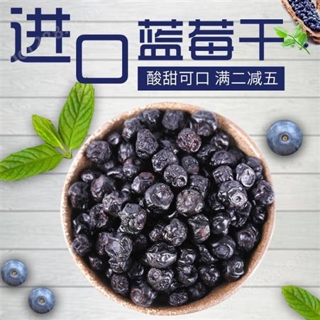 W J F加拿大进口蓝莓果干孕妇低水分零食蜜饯170g