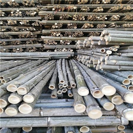 大量批发2米粗竹竿 农用园林用绿化用工地用2米粗竹杆竹尾