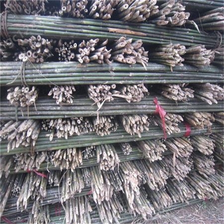 产地直销2021年新品竹竿 绑扶矮化苹果树苗专用的4米小竹竿
