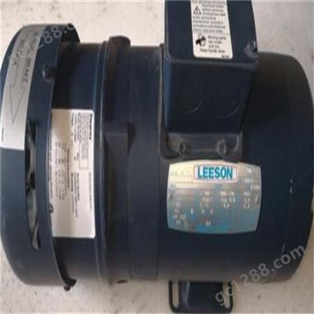 美国 LEESON减速电机C42D17FK1C现货