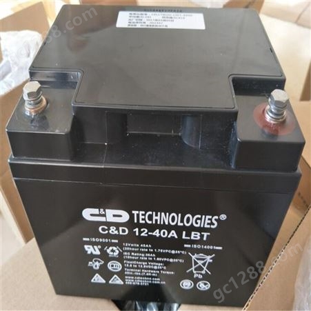 西恩迪蓄电池 CND2-1000LBT 原装免维护 UPS直流屏消防应急电源