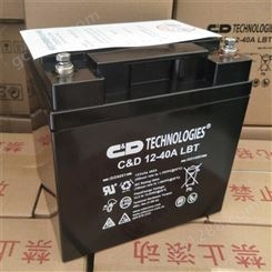 西恩迪蓄电池 CND2-1000LBT 不间断电 摩托车蓄电池