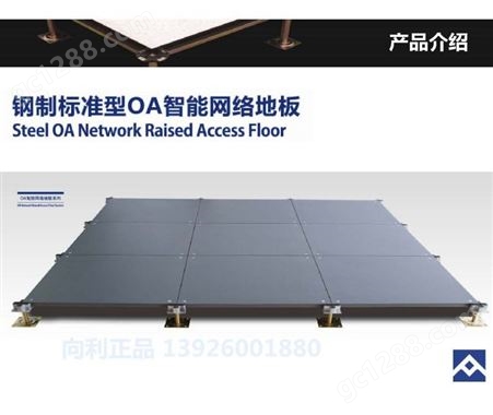 向利全钢OA网络防静电架空地板写字楼专用地板600*600500*500mm