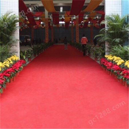 迎宾红地毯红地毯舞台开业 展会结婚庆典加厚长期反复使用 防滑加厚楼梯满铺
